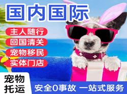 杭州机场货运国际宠物托运 【国